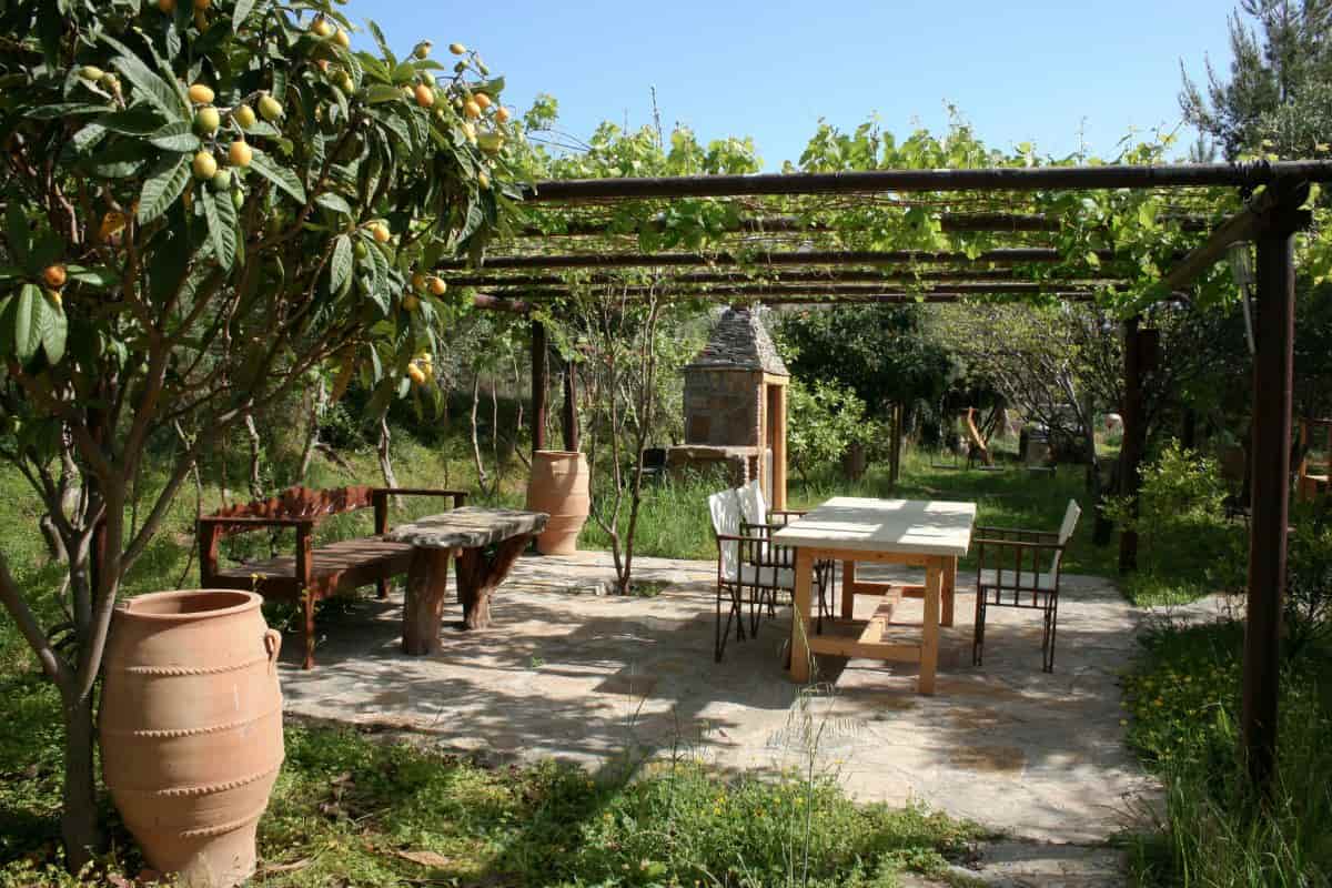 Mediterranean garden