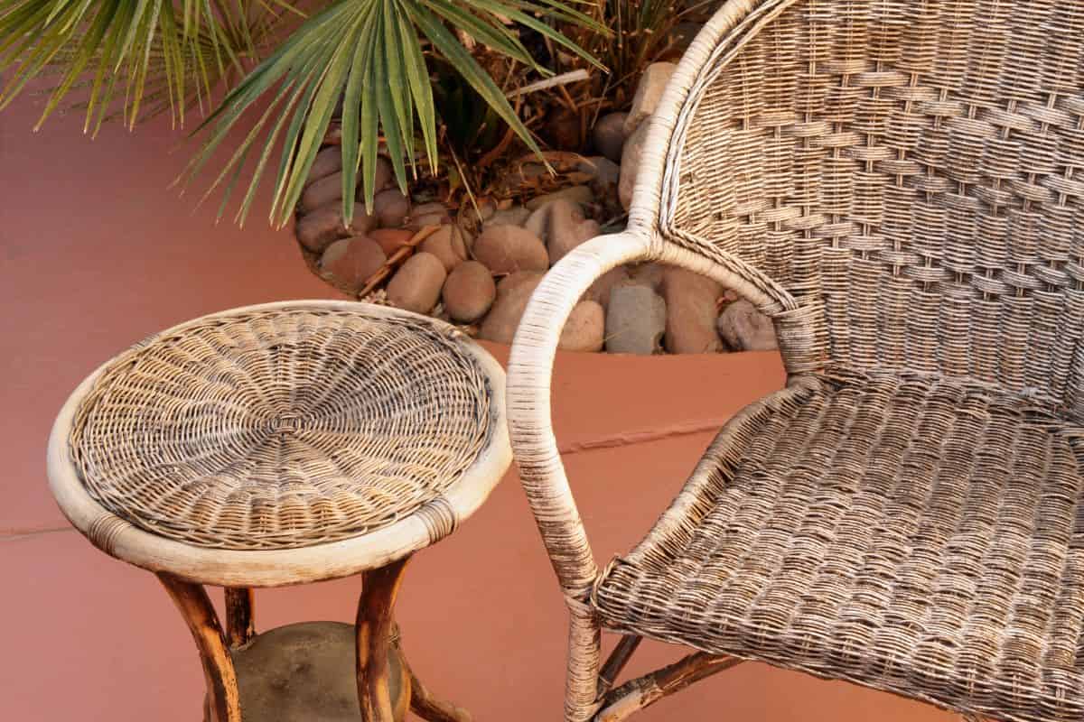 diferencia entre rattan y mimbre