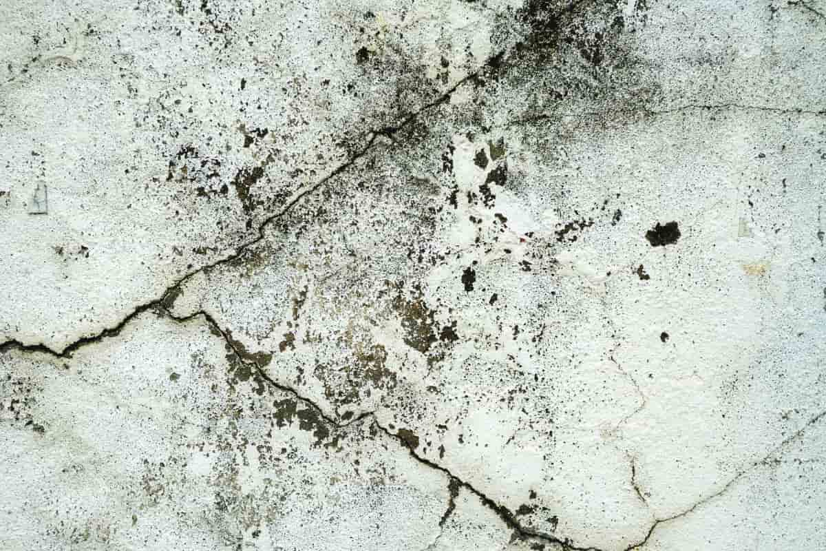 why does mould appear on furniture